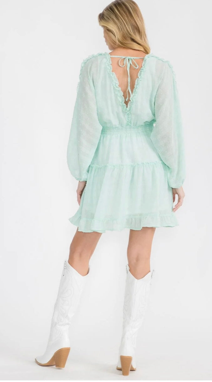 Long Sleeve Swiss Dot Dress