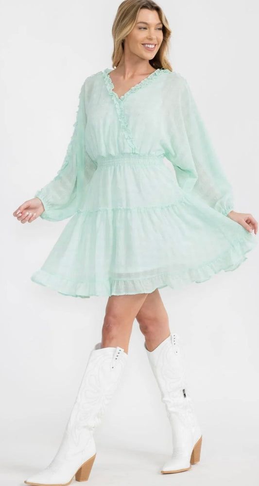 Long Sleeve Swiss Dot Dress